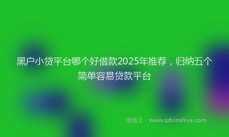 黑户小贷平台哪个好借款2025年推荐，归纳五个简单容易贷款平台