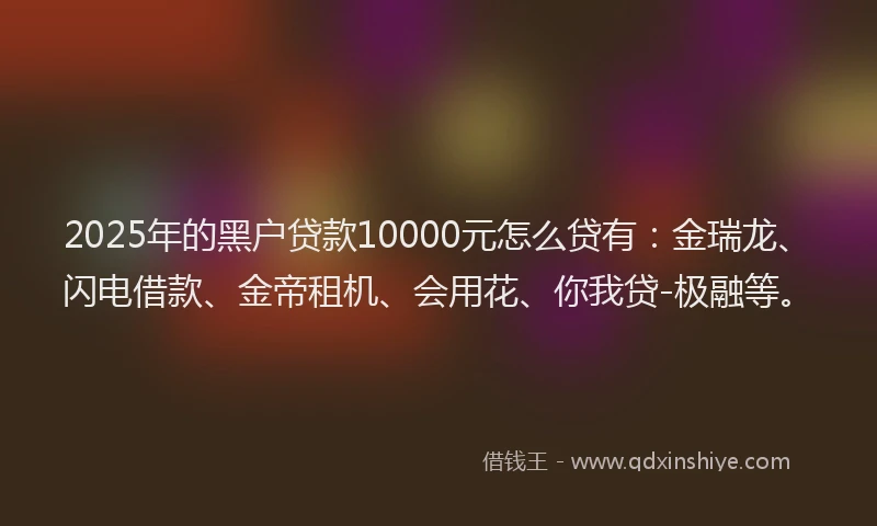 2025年的黑户贷款10000元怎么贷有：金瑞龙、闪电借款、金帝租机、会用花、你我贷-极融等。