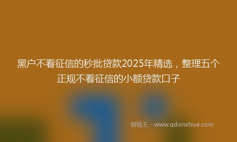 黑户不看征信的秒批贷款2025年精选，整理五个正规不看征信的小额贷款口子