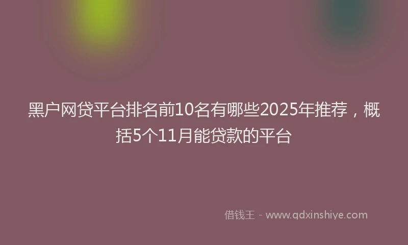 黑户网贷平台排名前10名有哪些2025年推荐，概括5个11月能贷款的平台