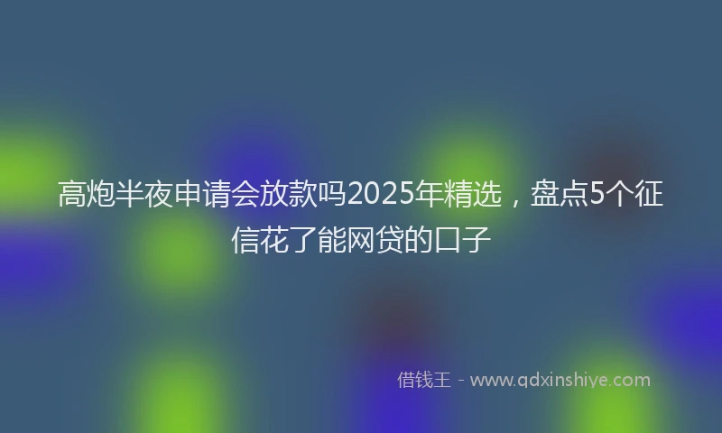 高炮半夜申请会放款吗2025年精选，盘点5个征信花了能网贷的口子