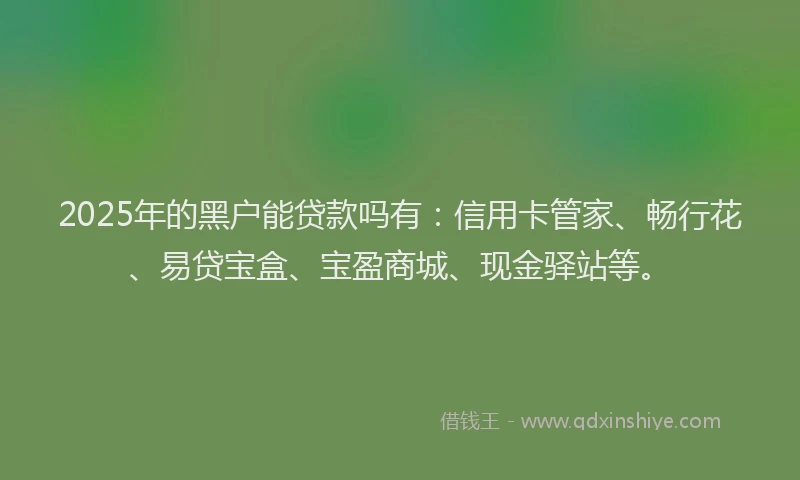 2025年的黑户能贷款吗有：信用卡管家、畅行花、易贷宝盒、宝盈商城、现金驿站等。