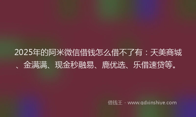 2025年的阿米微信借钱怎么借不了有：天美商城、金满满、现金秒融易、鹿优选、乐借速贷等。