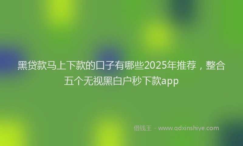 黑贷款马上下款的口子有哪些2025年推荐，整合五个无视黑白户秒下款app