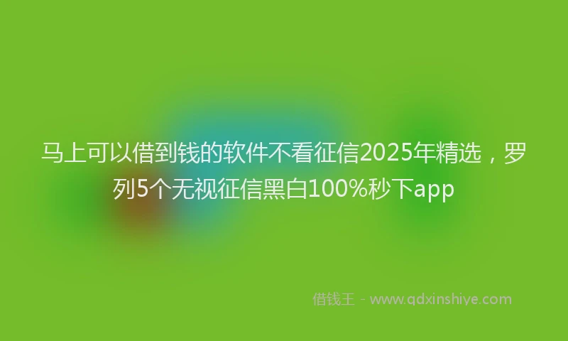 马上可以借到钱的软件不看征信2025年精选，罗列5个无视征信黑白100%秒下app
