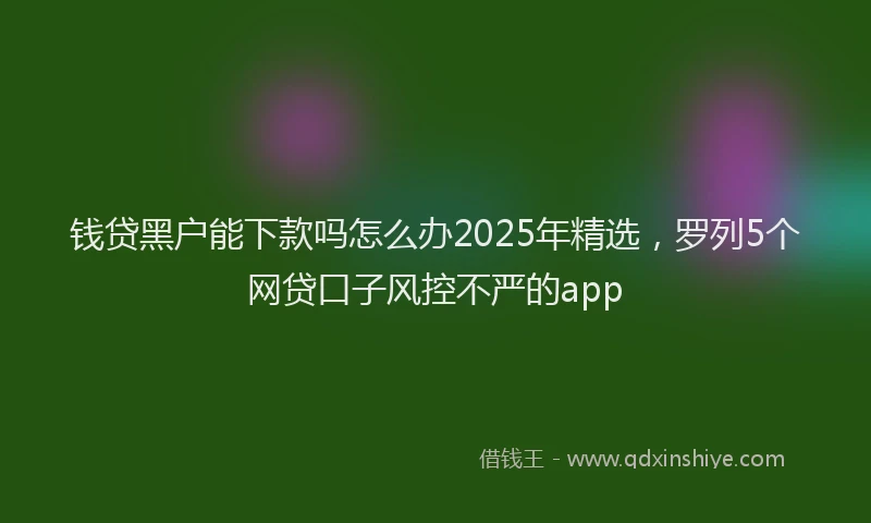 钱贷黑户能下款吗怎么办2025年精选，罗列5个网贷口子风控不严的app