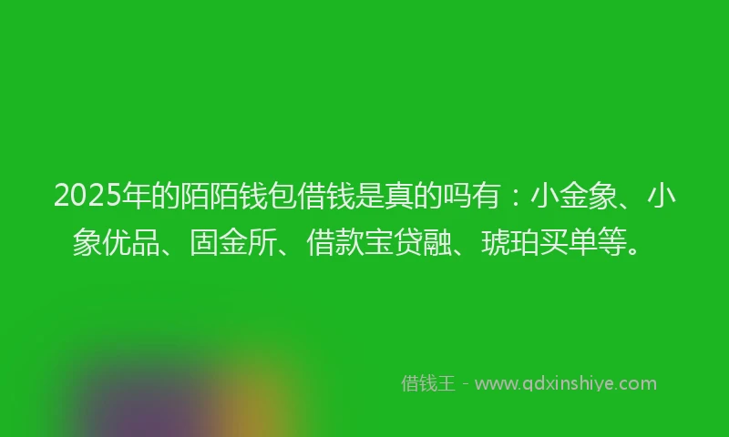 2025年的陌陌钱包借钱是真的吗有：小金象、小象优品、固金所、借款宝贷融、琥珀买单等。