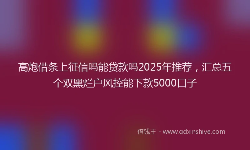 高炮借条上征信吗能贷款吗2025年推荐，汇总五个双黑烂户风控能下款5000口子