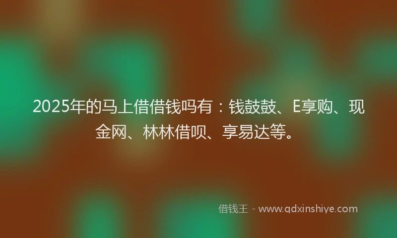 2025年的马上借借钱吗有：钱鼓鼓、E享购、现金网、林林借呗、享易达等。