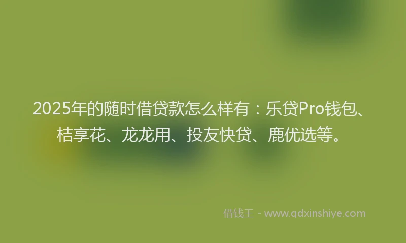 2025年的随时借贷款怎么样有：乐贷Pro钱包、桔享花、龙龙用、投友快贷、鹿优选等。