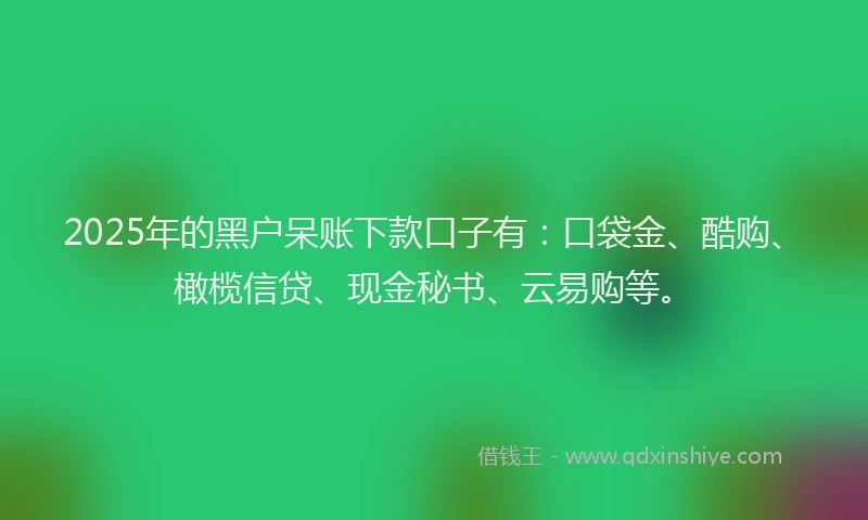 2025年的黑户呆账下款口子有：口袋金、酷购、橄榄信贷、现金秘书、云易购等。