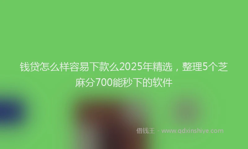 钱贷怎么样容易下款么2025年精选，整理5个芝麻分700能秒下的软件