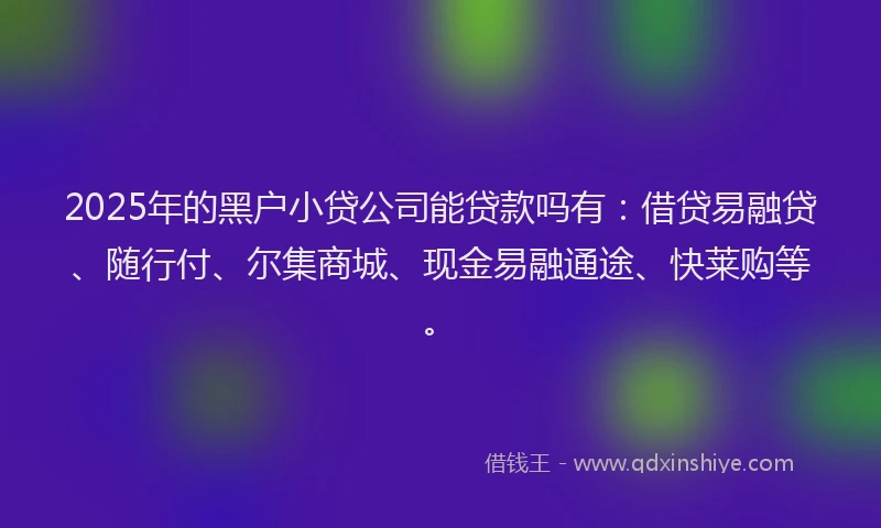 2025年的黑户小贷公司能贷款吗有：借贷易融贷、随行付、尔集商城、现金易融通途、快莱购等。