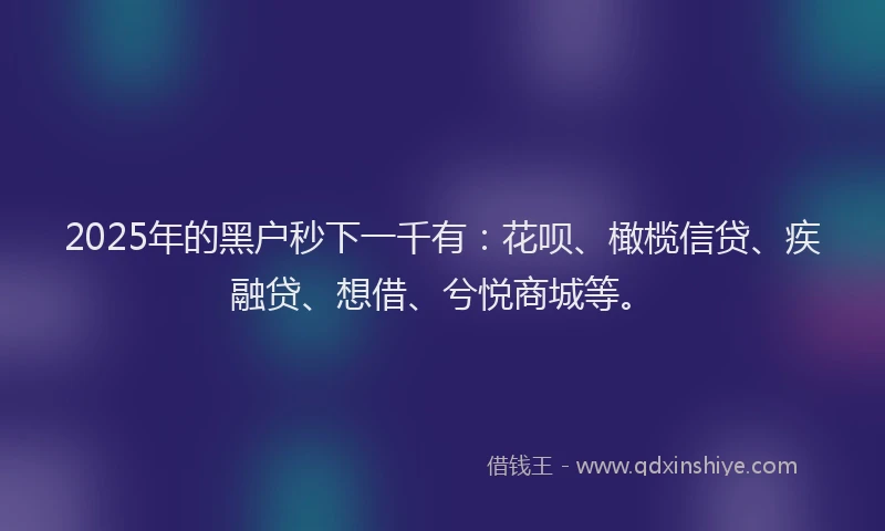 2025年的黑户秒下一千有：花呗、橄榄信贷、疾融贷、想借、兮悦商城等。