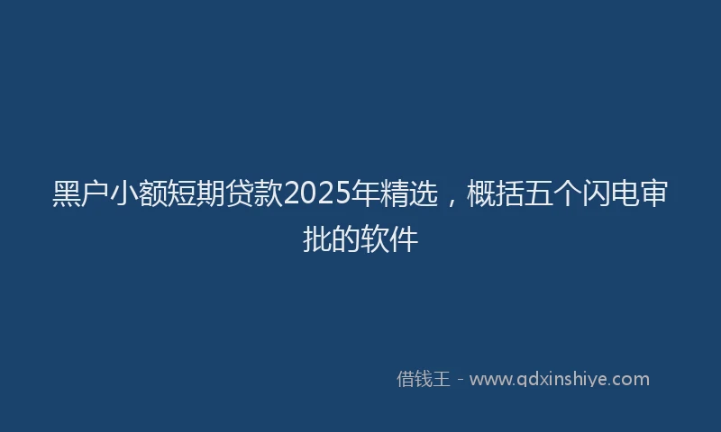 黑户小额短期贷款2025年精选，概括五个闪电审批的软件