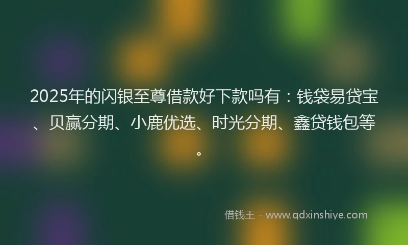 2025年的闪银至尊借款好下款吗有：钱袋易贷宝、贝赢分期、小鹿优选、时光分期、鑫贷钱包等。