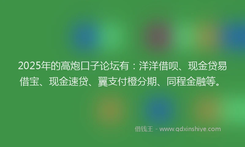 2025年的高炮口子论坛有：洋洋借呗、现金贷易借宝、现金速贷、翼支付橙分期、同程金融等。