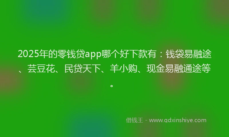 2025年的零钱贷app哪个好下款有：钱袋易融途、芸豆花、民贷天下、羊小购、现金易融通途等。