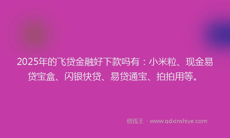 2025年的飞贷金融好下款吗有：小米粒、现金易贷宝盒、闪银快贷、易贷通宝、拍拍用等。