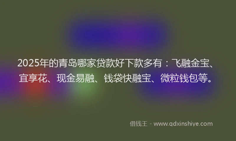 2025年的青岛哪家贷款好下款多有：飞融金宝、宜享花、现金易融、钱袋快融宝、微粒钱包等。