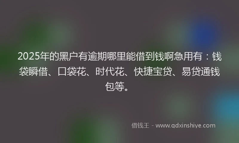 2025年的黑户有逾期哪里能借到钱啊急用有：钱袋瞬借、口袋花、时代花、快捷宝贷、易贷通钱包等。