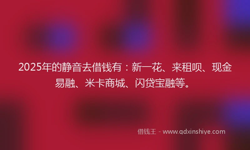 2025年的静音去借钱有：新一花、来租呗、现金易融、米卡商城、闪贷宝融等。