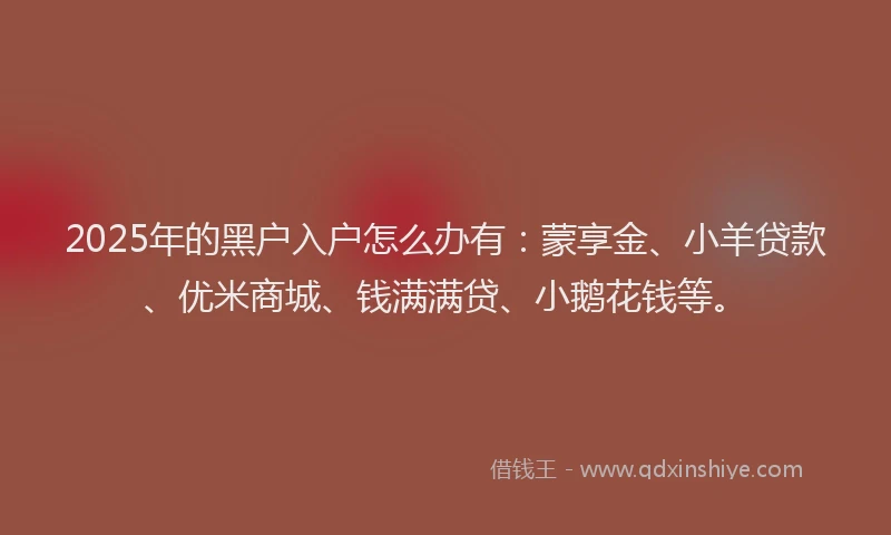 2025年的黑户入户怎么办有：蒙享金、小羊贷款、优米商城、钱满满贷、小鹅花钱等。
