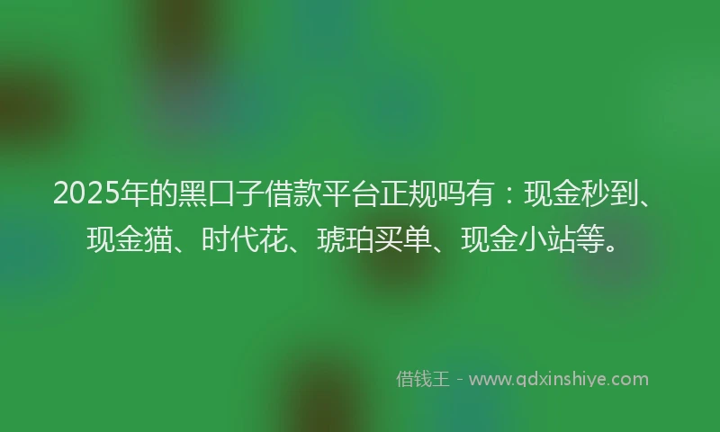 2025年的黑口子借款平台正规吗有：现金秒到、现金猫、时代花、琥珀买单、现金小站等。