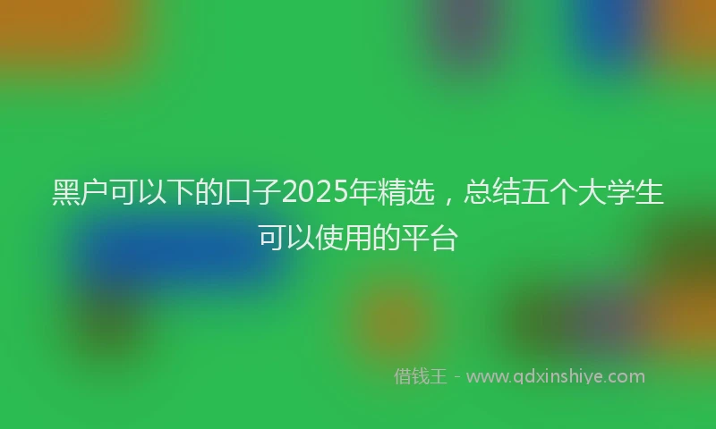 黑户可以下的口子2025年精选，总结五个大学生可以使用的平台