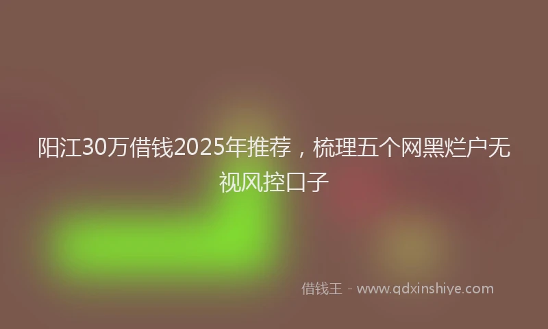 阳江30万借钱2025年推荐，梳理五个网黑烂户无视风控口子