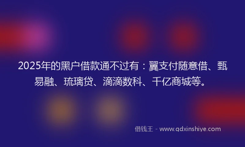 2025年的黑户借款通不过有：翼支付随意借、甄易融、琉璃贷、滴滴数科、千亿商城等。