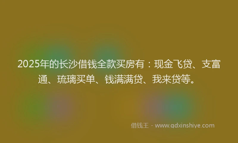 2025年的长沙借钱全款买房有：现金飞贷、支富通、琉璃买单、钱满满贷、我来贷等。