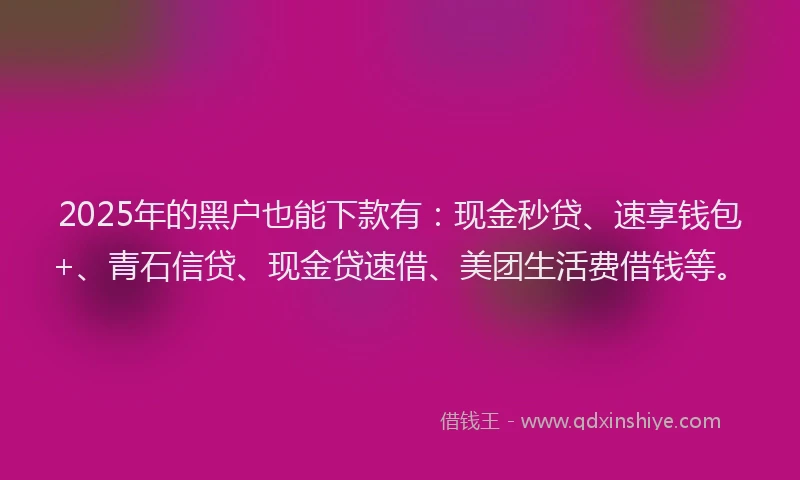 2025年的黑户也能下款有：现金秒贷、速享钱包+、青石信贷、现金贷速借、美团生活费借钱等。