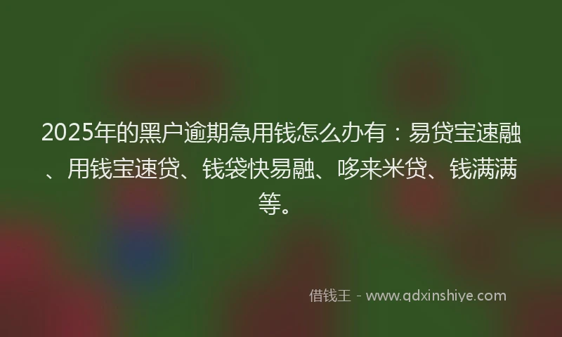 2025年的黑户逾期急用钱怎么办有：易贷宝速融、用钱宝速贷、钱袋快易融、哆来米贷、钱满满等。