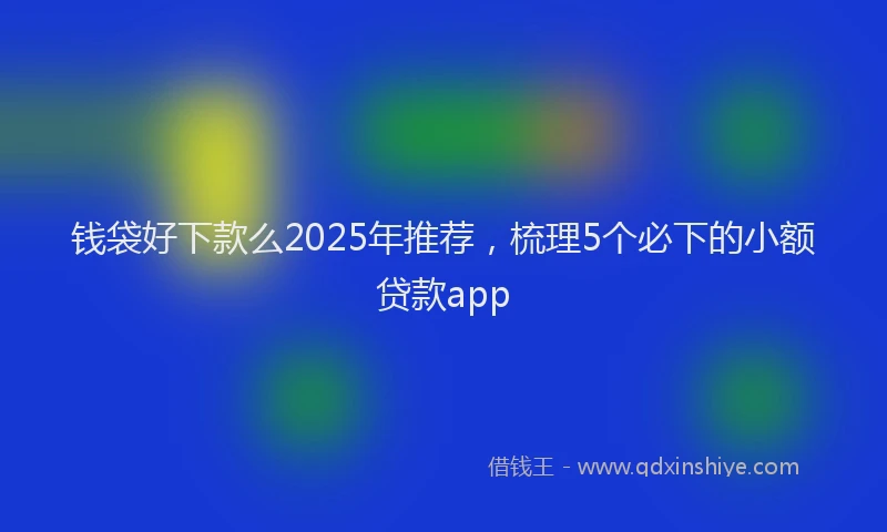 钱袋好下款么2025年推荐，梳理5个必下的小额贷款app