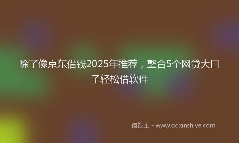 除了像京东借钱2025年推荐，整合5个网贷大口子轻松借软件