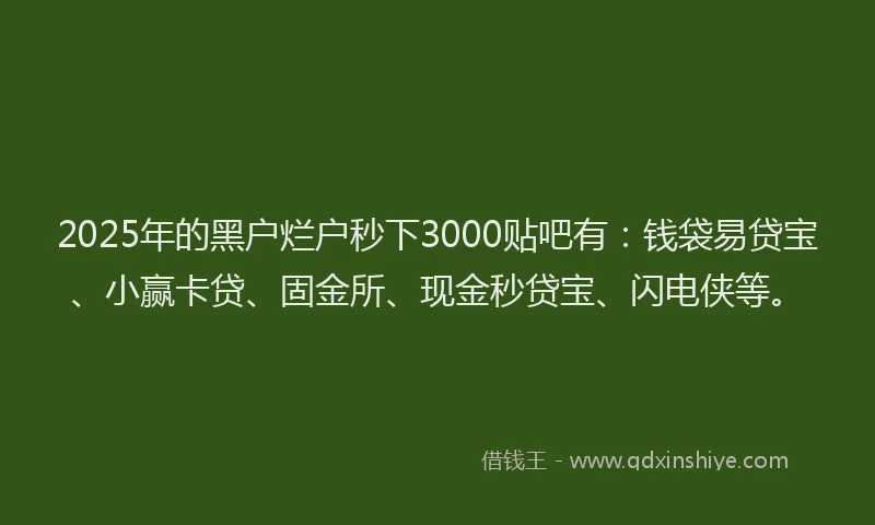 2025年的黑户烂户秒下3000贴吧有：钱袋易贷宝、小赢卡贷、固金所、现金秒贷宝、闪电侠等。