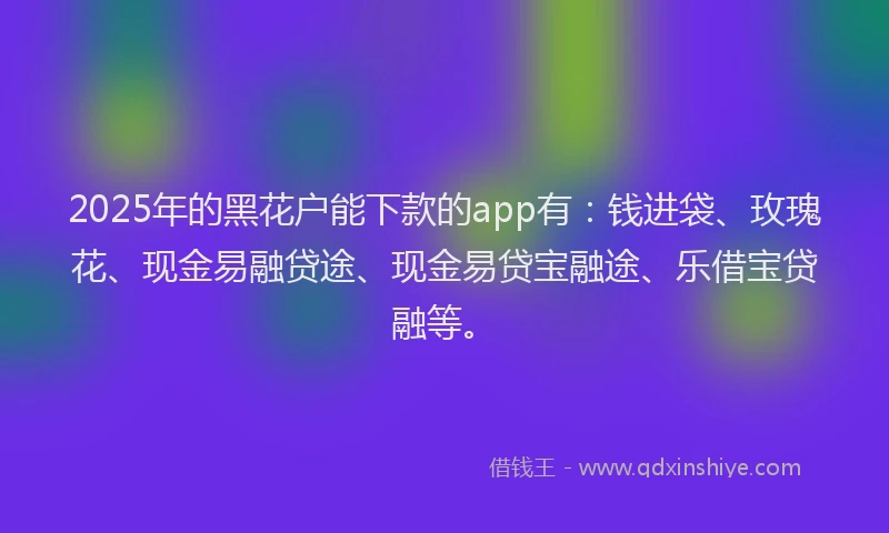 2025年的黑花户能下款的app有：钱进袋、玫瑰花、现金易融贷途、现金易贷宝融途、乐借宝贷融等。