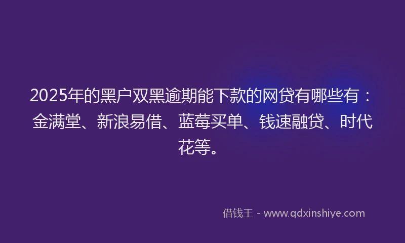 2025年的黑户双黑逾期能下款的网贷有哪些有：金满堂、新浪易借、蓝莓买单、钱速融贷、时代花等。