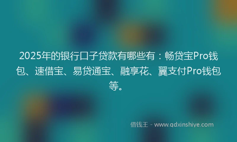 2025年的银行口子贷款有哪些有：畅贷宝Pro钱包、速借宝、易贷通宝、融享花、翼支付Pro钱包等。