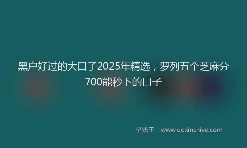 黑户好过的大口子2025年精选，罗列五个芝麻分700能秒下的口子