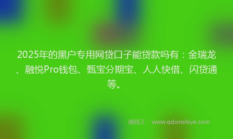 2025年的黑户专用网贷口子能贷款吗有：金瑞龙、融悦Pro钱包、甄宝分期宝、人人快借、闪贷通等。