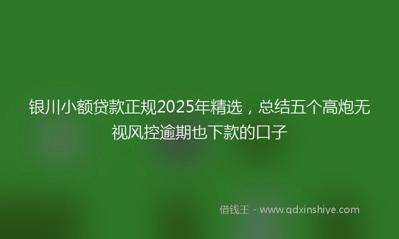 银川小额贷款正规2025年精选，总结五个高炮无视风控逾期也下款的口子