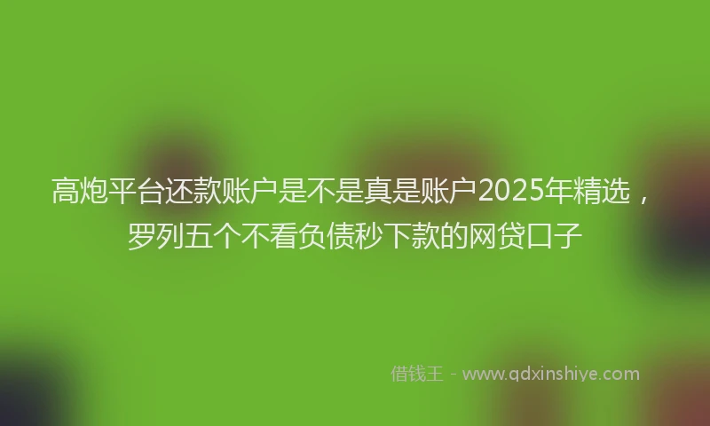 高炮平台还款账户是不是真是账户2025年精选，罗列五个不看负债秒下款的网贷口子