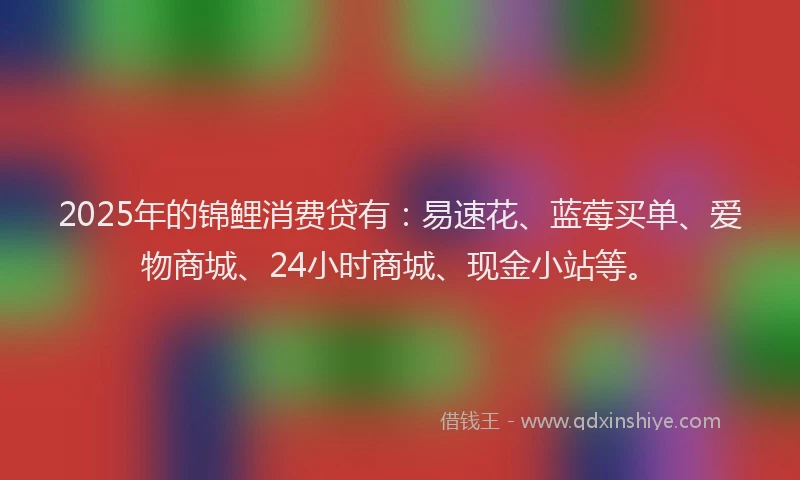 2025年的锦鲤消费贷有：易速花、蓝莓买单、爱物商城、24小时商城、现金小站等。