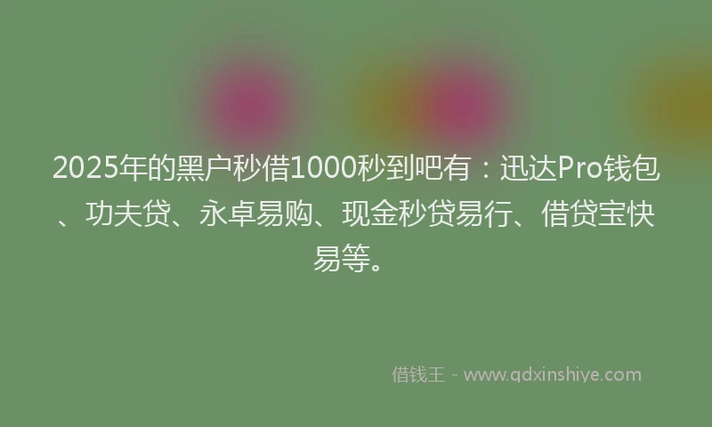 2025年的黑户秒借1000秒到吧有：迅达Pro钱包、功夫贷、永卓易购、现金秒贷易行、借贷宝快易等。
