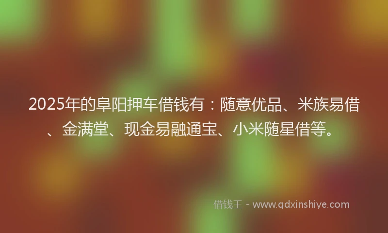 2025年的阜阳押车借钱有：随意优品、米族易借、金满堂、现金易融通宝、小米随星借等。