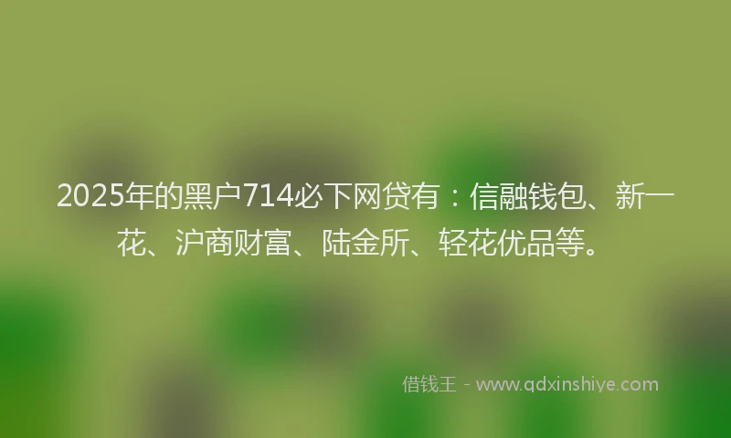 2025年的黑户714必下网贷有：信融钱包、新一花、沪商财富、陆金所、轻花优品等。