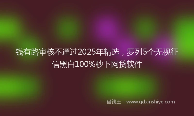钱有路审核不通过2025年精选，罗列5个无视征信黑白100%秒下网贷软件