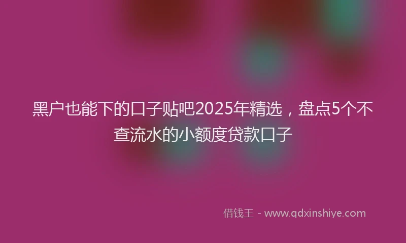 黑户也能下的口子贴吧2025年精选，盘点5个不查流水的小额度贷款口子